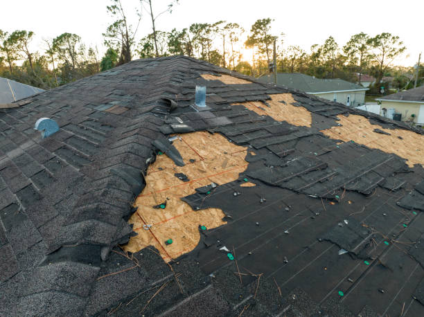 Best Roof Insulation Installation  in Blackstone, VA